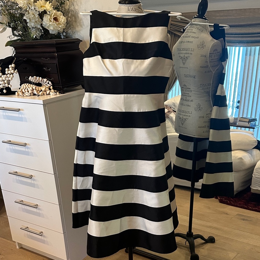 Adrianna Papell Bold Black and White Midi Dress